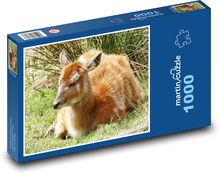 Hirsch - Koloss, Jungtier Puzzle 1000 Teile - 60 x 46 cm