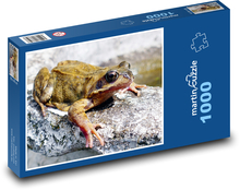 Frog - amphibian, animal Puzzle 1000 pieces - 60 x 46 cm 