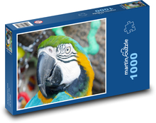 Papuga arabska - zwierzę, ptak Puzzle 1000 elementów - 60x46 cm