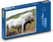 Klacz - koń, zwierzę Puzzle 1000 elementów - 60x46 cm