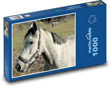 Kôň - zviera, farma Puzzle 1000 dielikov - 60 x 46 cm