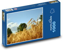 Obilné pole - ječmen, krajina  Puzzle 1000 dílků - 60 x 46 cm
