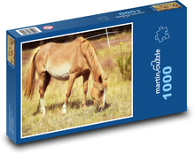 Mare - kôň, zviera Puzzle 1000 dielikov - 60 x 46 cm 