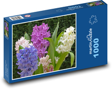 Hyacint - jarné kvety, rastlina Puzzle 1000 dielikov - 60 x 46 cm 