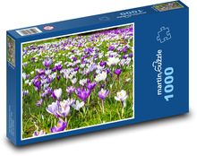 Krokus - květina, rozkvetvá louka Puzzle 1000 dílků - 60 x 46 cm