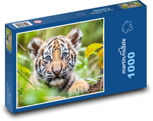 Tygr - mládě, tygřík Puzzle 1000 - 60x46 cm