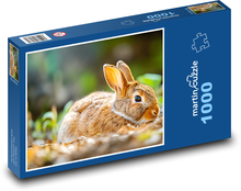 Králik - zviera, cicavec Puzzle 1000 dielikov - 60 x 46 cm 