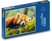 Spiaca panda - zviera, les Puzzle 1000 dielikov - 60 x 46 cm 