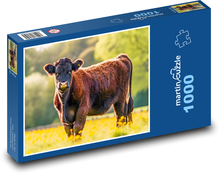 Kráva - savec, pastvina Puzzle 1000 dílků - 60 x 46 cm