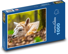 Alpaka - zviera, jar Puzzle 1000 dielikov - 60 x 46 cm 