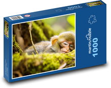 Spící opička - zvíře, strom Puzzle 1000 dílků - 60 x 46 cm
