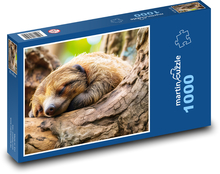 Lenochod - strom, savec Puzzle 1000 dílků - 60 x 46 cm