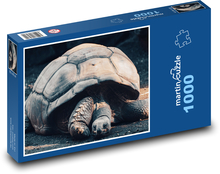 Galapágská obří želva - plaz, zvíře Puzzle 1000 dílků - 60 x 46 cm