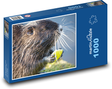 Nutrie - Nagetier, Säugetier Puzzle 1000 Teile - 60 x 46 cm