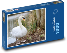 Labuť velká - vodní pták, jezero  Puzzle 1000 dílků - 60 x 46 cm