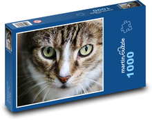 Kočka - oči Puzzle 1000 dílků - 60 x 46 cm