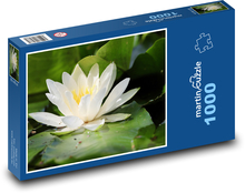 Lekná - vodná rastlina, kvetina Puzzle 1000 dielikov - 60 x 46 cm 