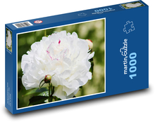 Pivoňka - biely kvet, rastlina Puzzle 1000 dielikov - 60 x 46 cm