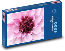 Jiřina - květ jiřiny, okvětní lístky Puzzle 1000 dílků - 60 x 46 cm
