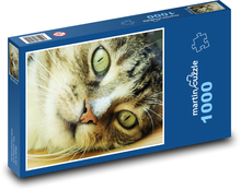 Hauskatze - Tier, Haustier Puzzle 1000 Teile - 60 x 46 cm