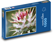 Artičok - rastlina, pichľavý Puzzle 1000 dielikov - 60 x 46 cm 