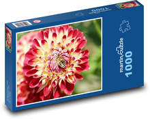 Dahlienblüte - Pflanze, Garten Puzzle 1000 Teile - 60 x 46 cm