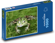Green frog - aquatic animal, animal Puzzle 1000 pieces - 60 x 46 cm 