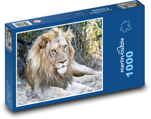 Lev - král zvířat, safari Puzzle 1000 dílků - 60 x 46 cm