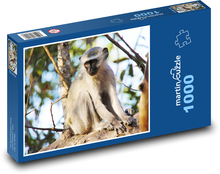Małpa - dżingiel, zwierzę Puzzle 1000 elementów - 60x46 cm