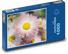 Sedmokrásky - poľné kvety, kvet Puzzle 1000 dielikov - 60 x 46 cm 