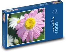 Chryzantema - różowy kwiat, kwiat Puzzle 1000 elementów - 60x46 cm