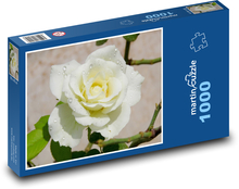 White rose - flower, plant Puzzle 1000 pieces - 60 x 46 cm 