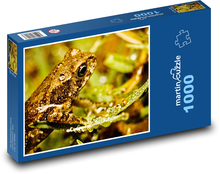 Frog - amphibian, animal Puzzle 1000 pieces - 60 x 46 cm 