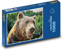 Medvěd - zvíře, zoo Puzzle 1000 dílků - 60 x 46 cm