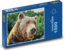 Medvěd - zvíře, zoo Puzzle 1000 - 60x46 cm
