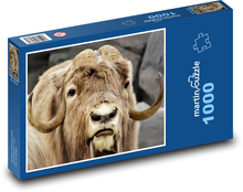 Piżmo - rogi, zwierzę Puzzle 1000 elementów - 60x46 cm