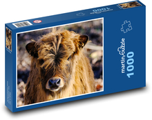 Ochse - Tier, Rind Puzzle 1000 Teile - 60 x 46 cm