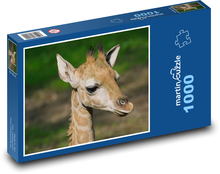 Žirafa - mládě, savec Puzzle 1000 dílků - 60 x 46 cm