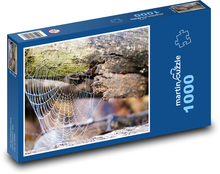 Spider web - morning dew, tree trunk Puzzle 1000 pieces - 60 x 46 cm 
