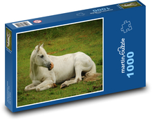 Bílý kůň - hřebec, čistokrevný arabský Puzzle 1000 dílků - 60 x 46 cm