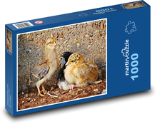 Vták - kurča, kurča Puzzle 1000 dielikov - 60 x 46 cm 