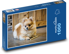 Pes - Trpasličí špic, Zviera Puzzle 1000 dielikov - 60 x 46 cm 