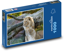 Big cats - lion, lioness Puzzle 1000 pieces - 60 x 46 cm 