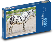 Pony - kleines Pferd, Tier Puzzle 1000 Teile - 60 x 46 cm
