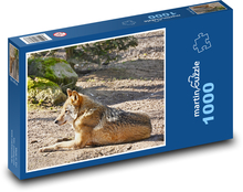 Vlk - zviera, predátor Puzzle 1000 dielikov - 60 x 46 cm 