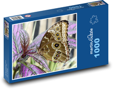 Motýl - hmyz, rostliny  Puzzle 1000 dílků - 60 x 46 cm