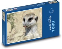 Surikata - zvíře, zoo Puzzle 1000 dílků - 60 x 46 cm