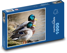 Enten - Wildenten, Vögel Puzzle 1000 Teile - 60 x 46 cm