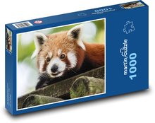 Roter Panda - Teddybär, Tier Puzzle 1000 Teile - 60 x 46 cm