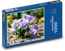 Pansy - wiosenny kwiat, roślina Puzzle 1000 elementów - 60x46 cm